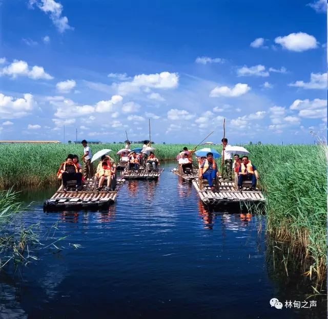 齐走廊中心地带,南邻油城大庆,北接鹤城齐齐哈尔,距省会哈尔滨230公里