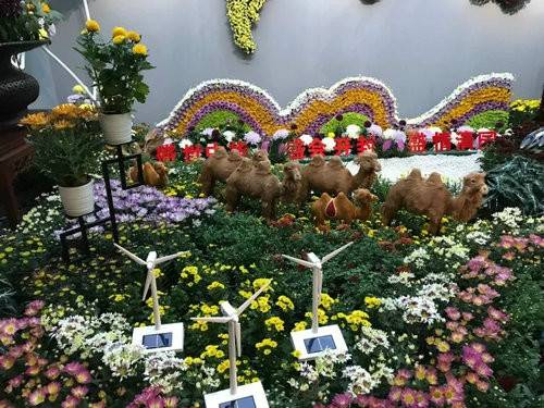 您的漂亮朋友——中国开封清明上河园国际菊展已上线