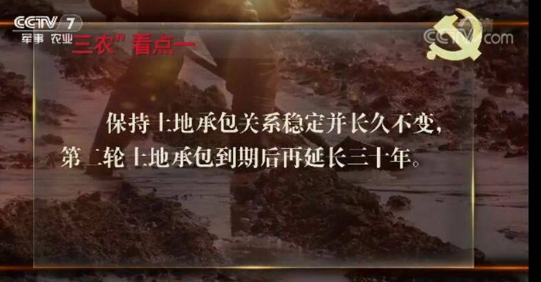 山东省胶州市胶莱镇人口构成_山东省胶州市图片(3)