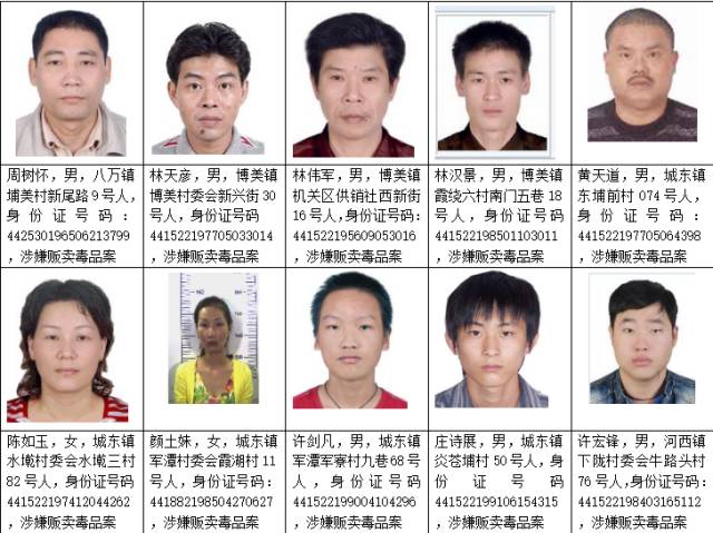 陆丰181人被通缉最高可奖励100万