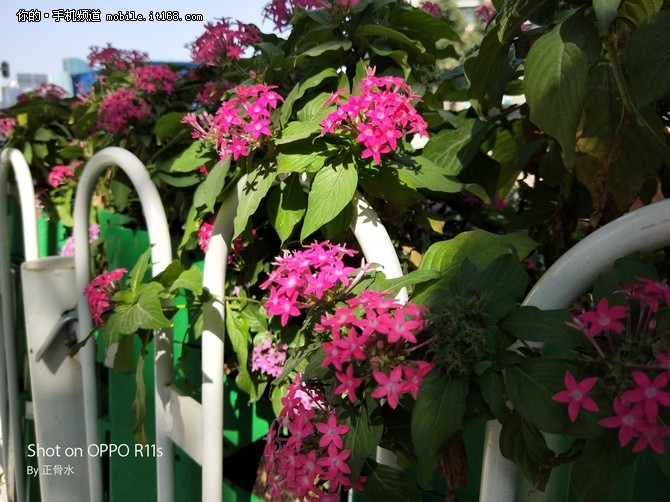 进阶的真双摄与人像模式