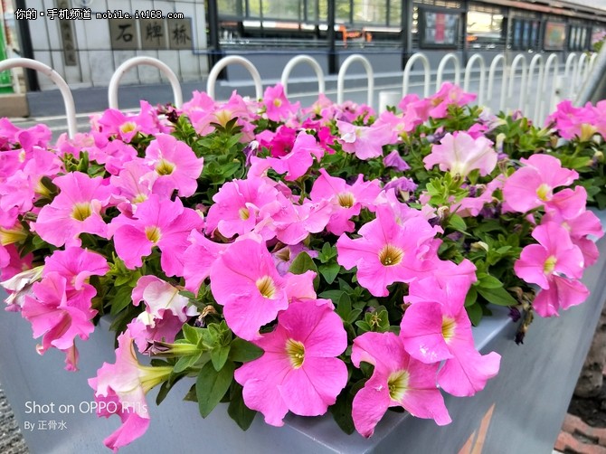 进阶的真双摄与人像模式