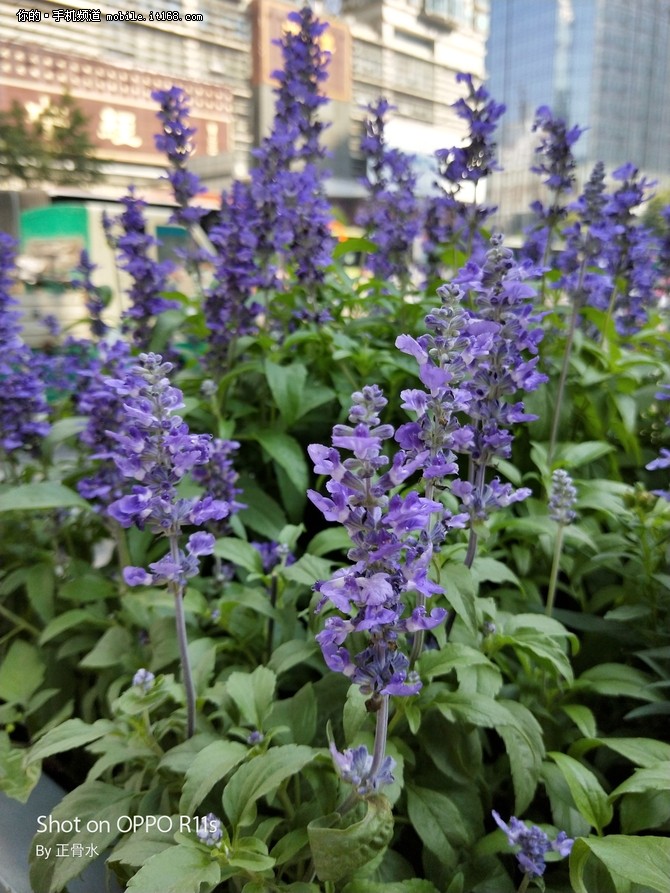 进阶的真双摄与人像模式