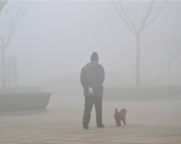 真正了解什么是PM2.5,你就知道如何选择防霾