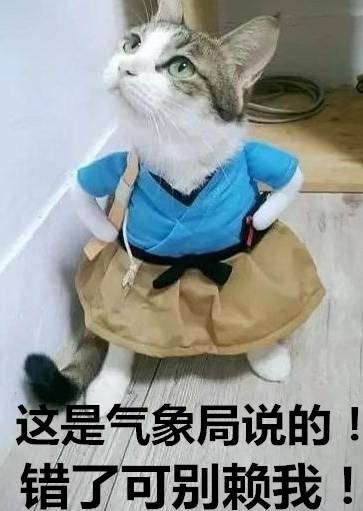 8级阵风!降温近10℃!湖北明天或下雪!下周天气