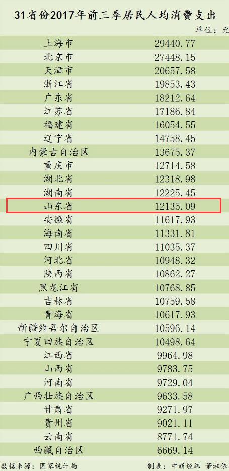 收入支出明细表模板_山东人均消费支出收入