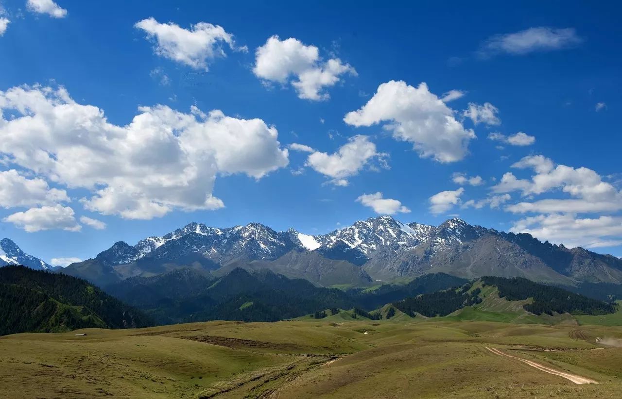 新疆2地入围全国休闲农业和乡村旅游示范县(市