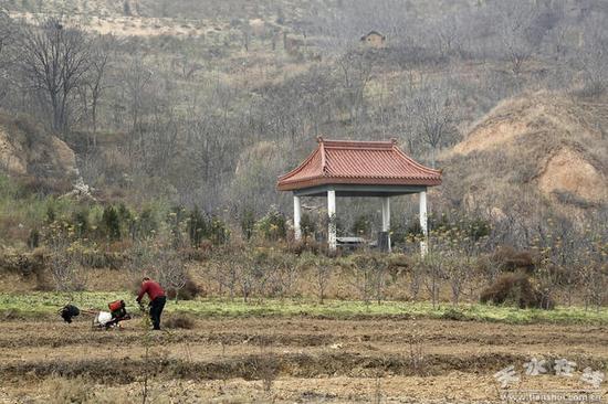 图为潘家祖坟，2014年迁入此地。摄于2017年12月2日图片来自天水在线