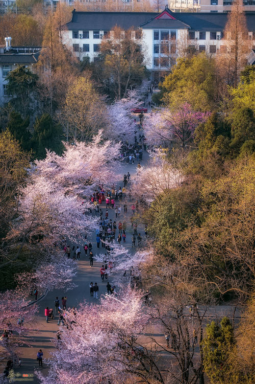苏州大学  这里有  与中山陵风景区浑然一体的  ▼南京理工大学