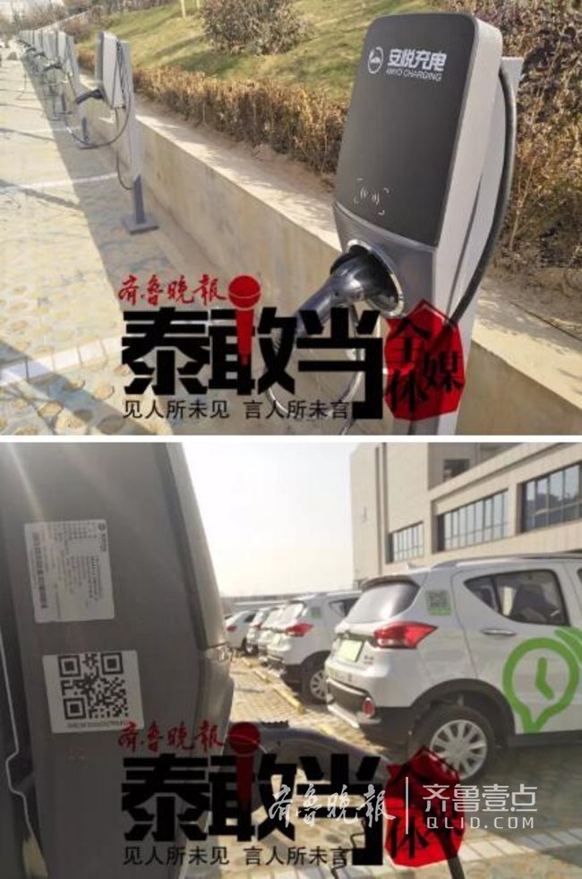 共享汽车“落地”泰城？其实他们只是展示品