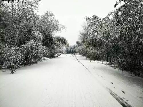 寒冷的冬天重渡沟邀你看到非同一般的美景