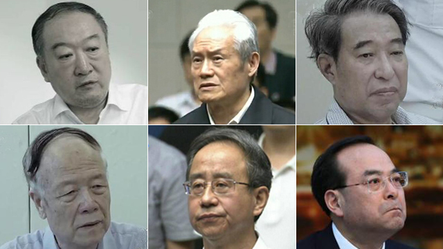 六位副国级以上的“老虎”