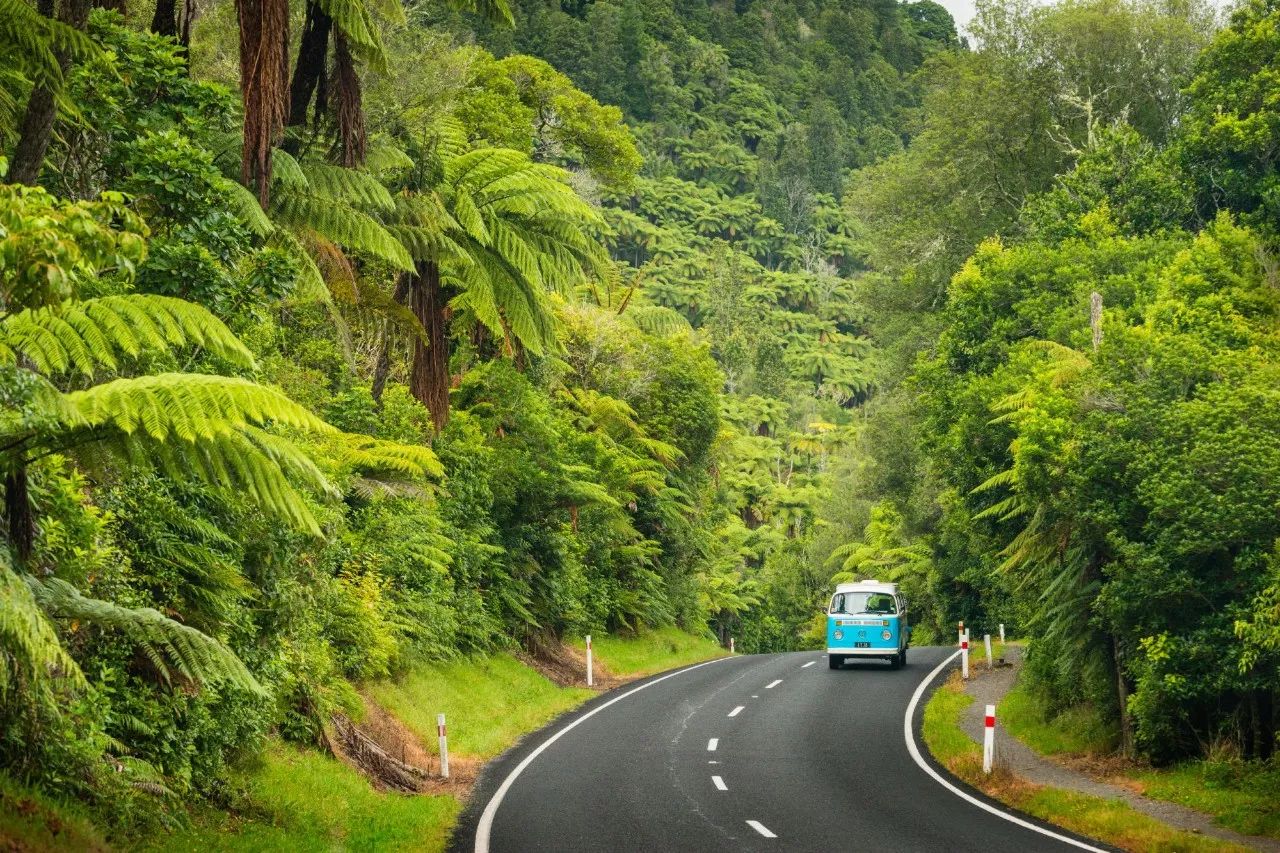 承包新西兰精华景点 这3条经典自驾路线推荐给你