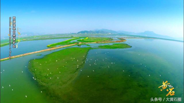 大赞！黄石阳新网湖湿地被列入《国际重要湿地名录》