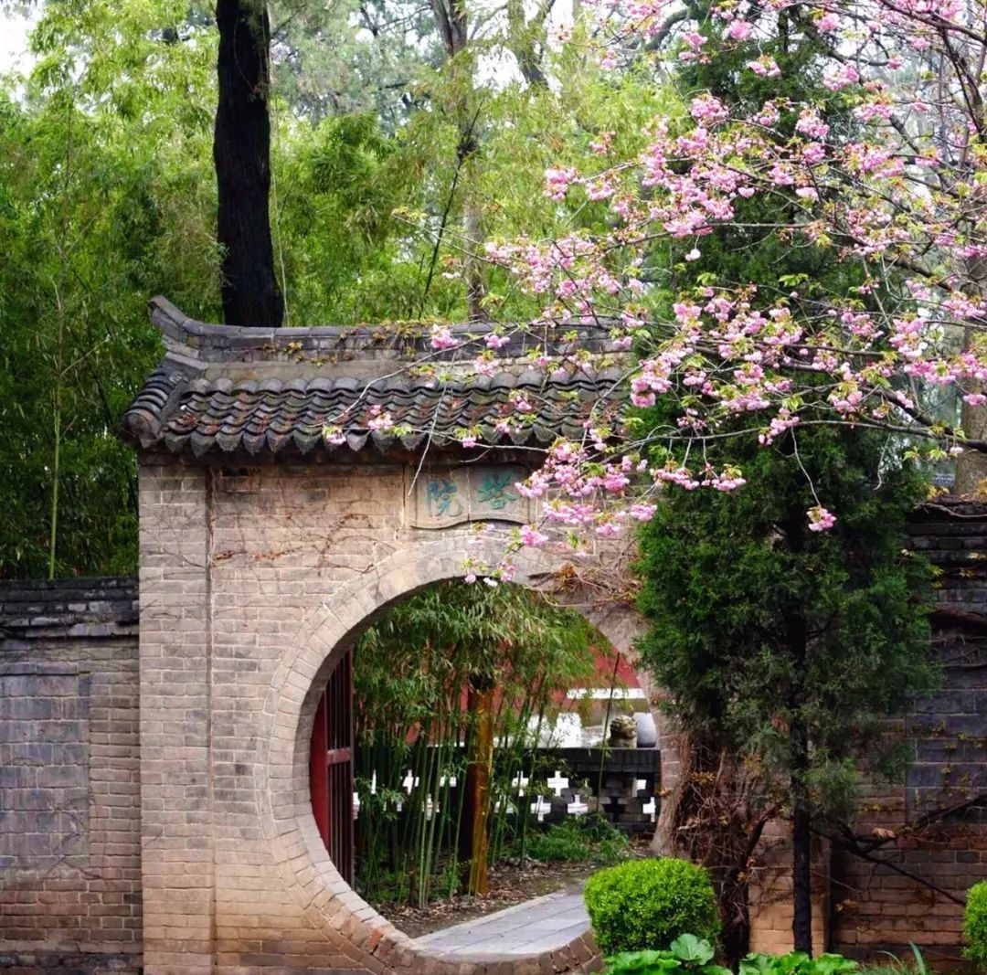 跨越三十年的中国传统之美, 尽在这位日本绘画