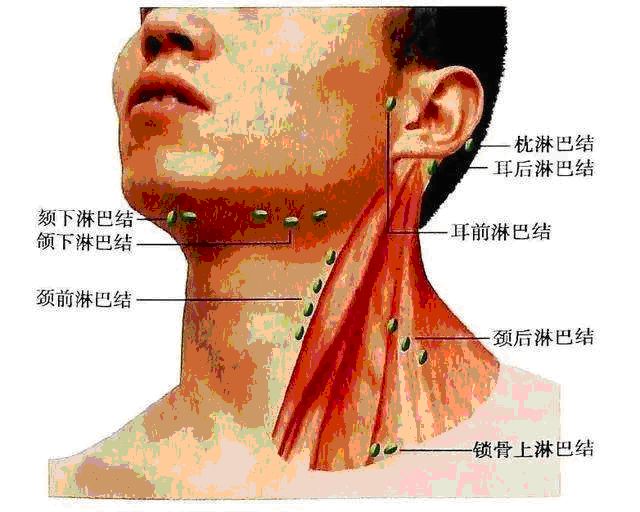 耳朵后面长个小疙瘩不痛也不痒,一查竟是肺癌