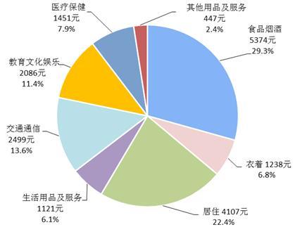 收入支出表格模板_山东人均消费支出收入