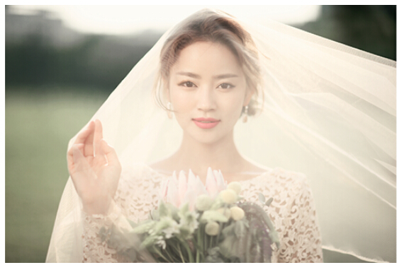 韩式婚纱照妆容_韩式婚纱照妆容和发型(2)