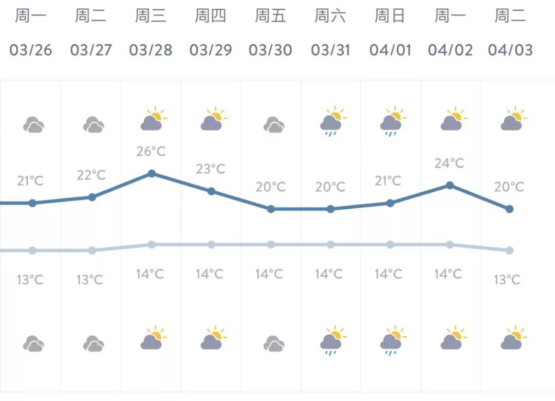 本周最高气温均超20℃！最佳赏樱这7天！上海一天早知道