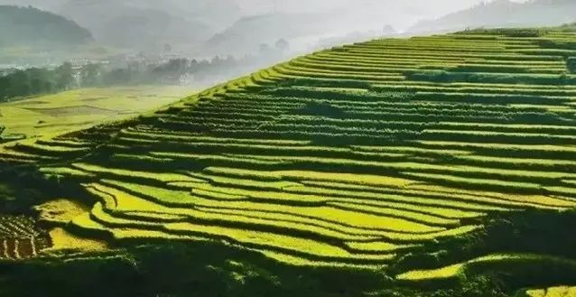 崇义人口_年度盛事,万人瞩目 中国 崇义第二届阳明文化旅游节暨阳明山万人徒