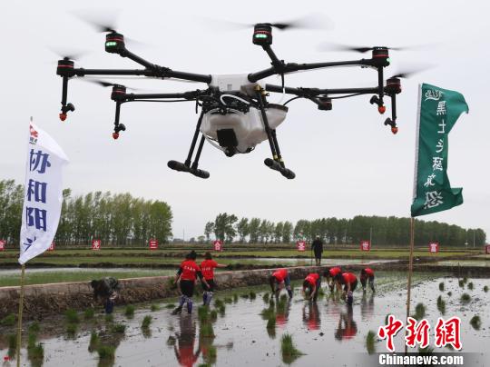 黑龙江省去年主要农作物综合机械化水平位居中国首位钟欣摄