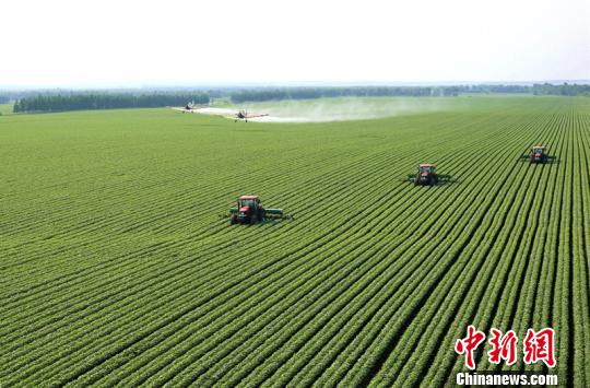 黑龙江省去年主要农作物综合机械化水平达到96.8% 马淑芬摄