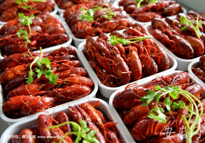 安徽小龙虾产量排全国第二约40万人从事相关产业
