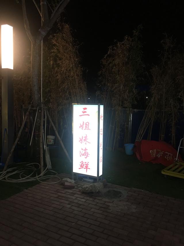 阳光和煦，漫步椰林树影（三亚自由行攻略）