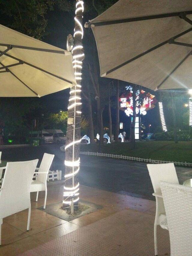 阳光和煦，漫步椰林树影（三亚自由行攻略）