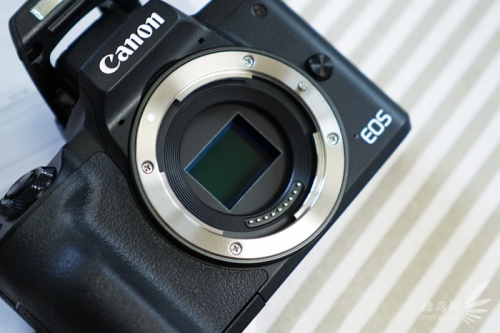 佳能微单M50轻松胜任多场景拍摄任务