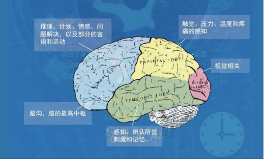 2018城市科学节百余场科学挑战，带孩子一起探索发现星球