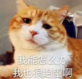 f9fad87281059f4_w349_h336.png
