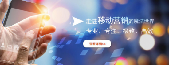 上海临城网络科技有限公司 专业创造更高价值