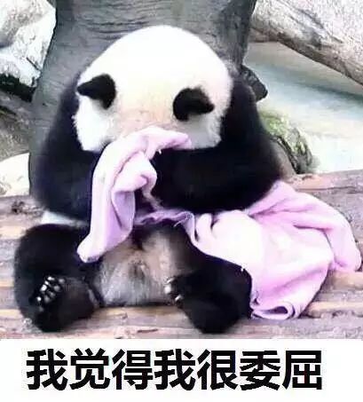 熊猫:谁说我只会卖萌撒娇?我搞起外交来也很有一套
