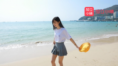 8c8e2380820fc3a_w500_h281.png
