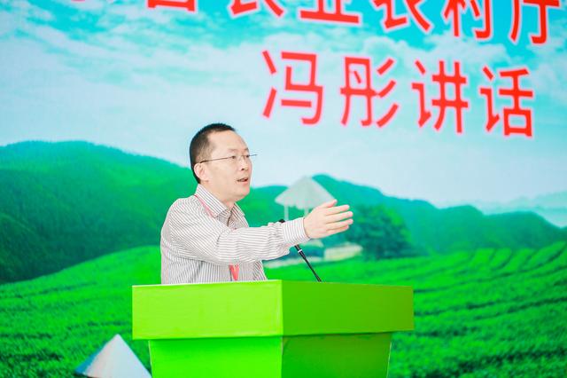 春茶开采啦！这里是珠三角规模最大的茶产业基地