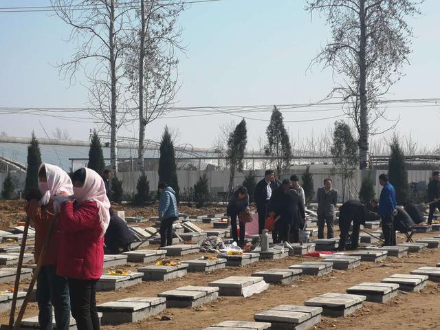 寿光市上口镇河疃村绿色公墓改造中。