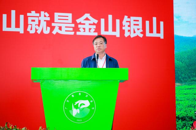 春茶开采啦！这里是珠三角规模最大的茶产业基地