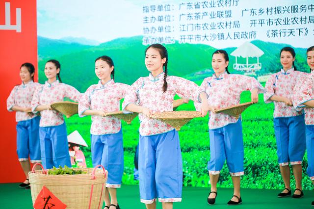 春茶开采啦！这里是珠三角规模最大的茶产业基地