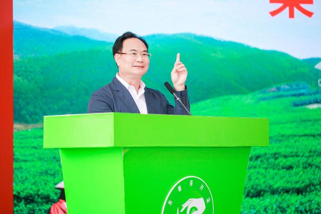 春茶开采啦！这里是珠三角规模最大的茶产业基地