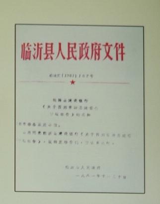 第一代市场：政府面对市场萌芽，及时给予肯定支持。1981年，临沂县委县政府文件，为临沂商贸市场发展最早开启了绿灯。