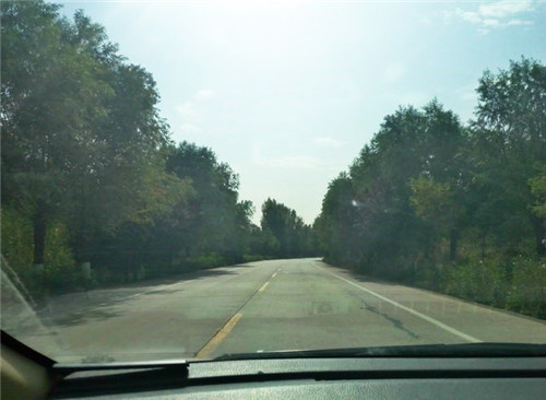  《最美人间四月天，幸一路有你陪伴》