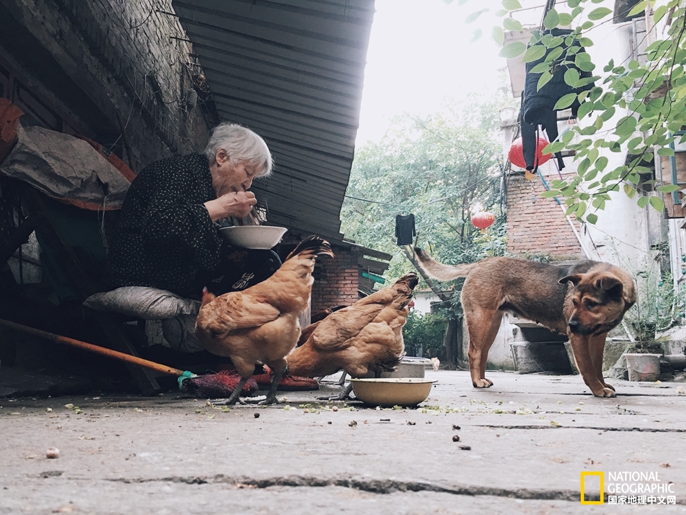 下浩老街:长江南岸的旧重庆
