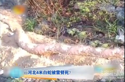 雷姓有多少人口(3)