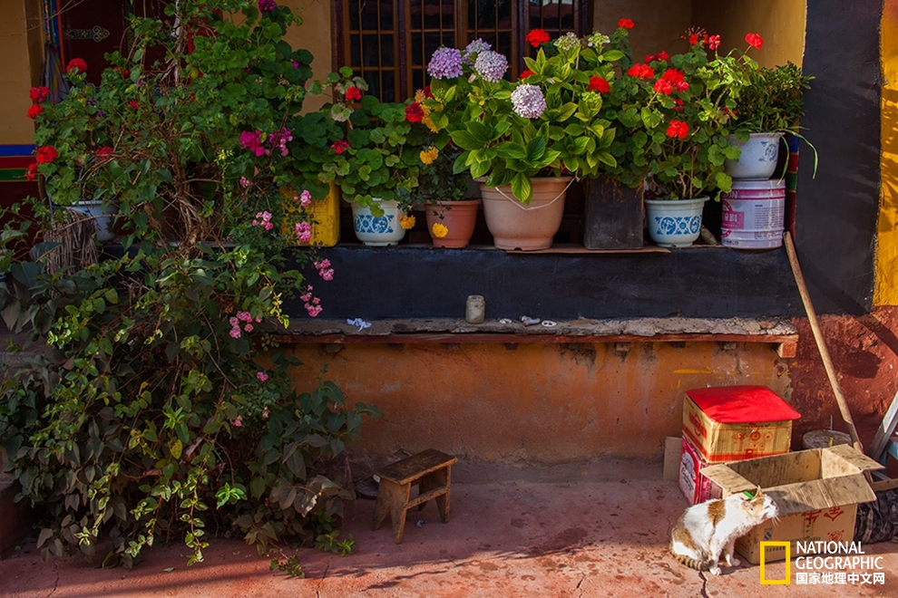 拉薩這些寺廟你去過幾個？