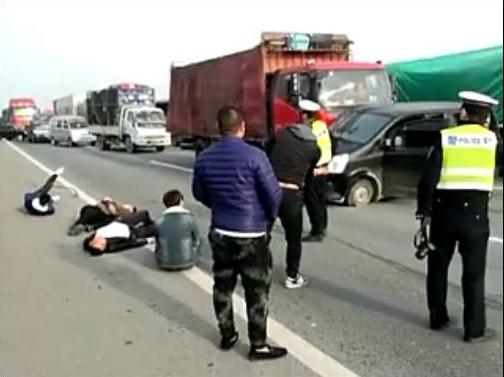 天津爱狗人士描述:志愿者高速上拦狗车被撞行