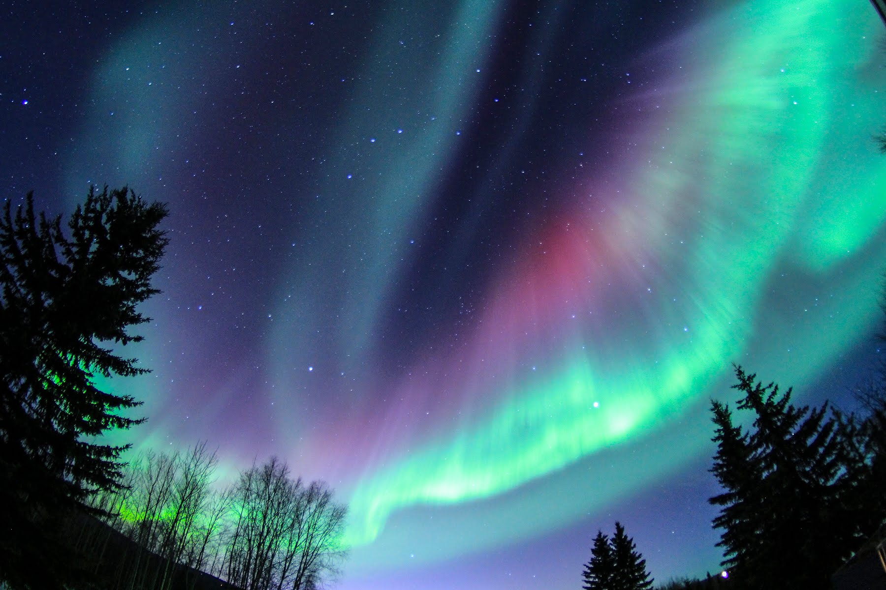 光之媚舞-罗弗敦群岛上空的北极光，挪威 (© arnaudbertrande/Getty Images) @20181229 | NiceBing 必应美图 - 精彩世界,一触即发