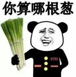 思聪帮老爸重夺首富 你和国民老公差的不止一个爹