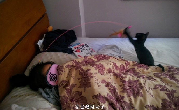  囧图160602:鼻孔大也有鼻孔大的好处，比如…|40图