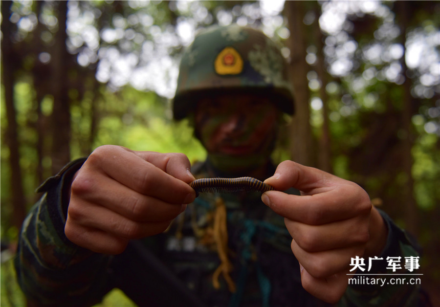 狙击手杨行行展示从身上捉到的虫子，长期潜伏在丛林里经常会遇到让人毛骨悚然的虫子和蛇。徐伟摄